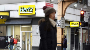 Autovermieter Hertz verkauft ein Drittel seiner E-Autos wegen fehlender Nachfrage