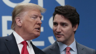 Trump: 'Parlerò con Canada-Messico, presto dazi anche contro Ue'