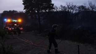 L'Occitanie en proie aux flammes dans l'Hérault et les Pyrénées-Orientales