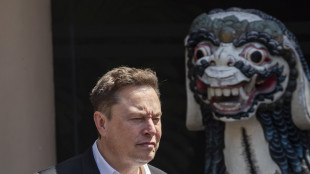 Musk, 'nessuno cerca di assassinare Biden e Kamala...'