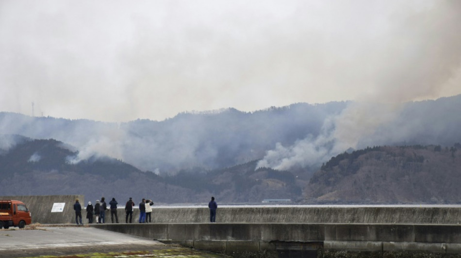 Le Japon confronté à son pire incendie de forêt en 50 ans, qui continue de se propager