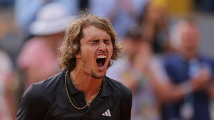 Zverev schlägt Etcheverry und steht im Halbfinale von Paris