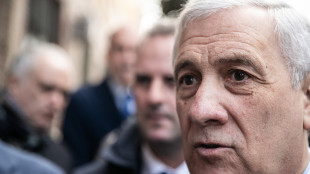 Tajani, 'tregua di un mese? Prematuro parlarne'