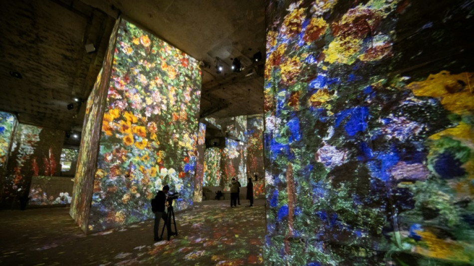 Carrières des Baux de provence: la condamnation de Culturespaces confirmée en appel