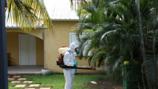 À La Réunion, l'épidémie de chikungunya prend de l'ampleur