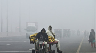 Smog-Belastung in pakistanischer Stadt Lahore sinkt erstmals nach Wochen