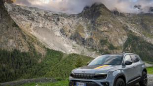 Jeep chiude il 2024 con 4,4% di quota di mercato