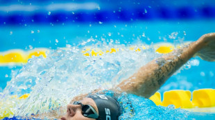 Deutsches Team holt drei Medaillen bei Para-Schwimm-WM