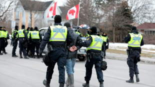 Canada police arrest protesters in bid to clear border bridge