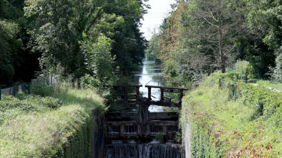 Les Alsaciens divisés sur la remise en navigation d'un vieux canal