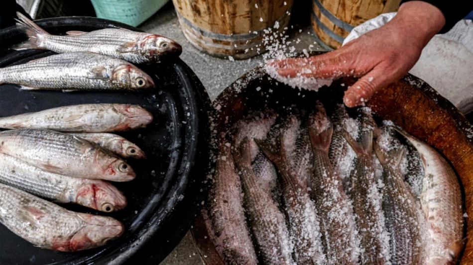 En Egypte, depuis des millénaires, un plat de poisson salé ravi les papilles et prend au nez