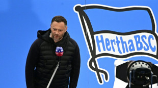 Hertha BSC in Investorenfrage im Austausch mit der DFL