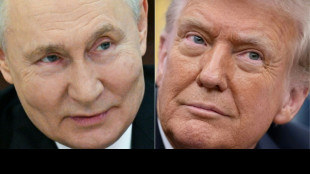 'Went through a hell of a lot with me': how Trump boasts about Putin ties