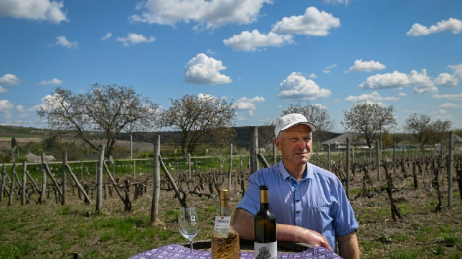 Moldova wine industry's EU focus pays off