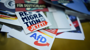 Bundestag soll kommende Woche erstmals über Antrag auf AfD-Verbotsverfahren beraten