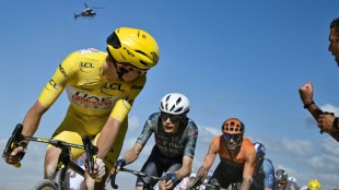 Pogacar lashes out at 'scared' Vingegaard at Tour de France