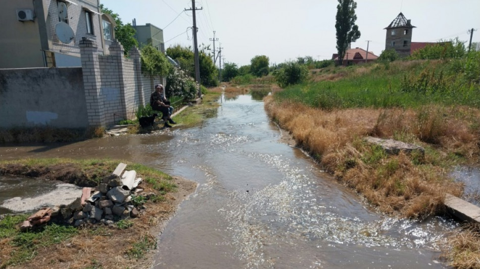 'Everything is going to die': Kherson locals rage at Russians