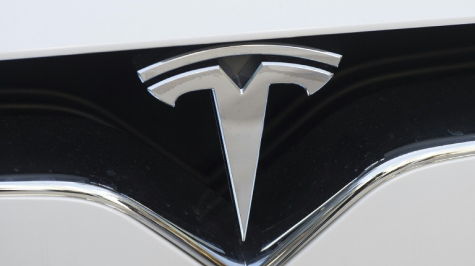 Umweltrechtliche Genehmigung für Tesla-Werk in Brandenburg steht offenbar kurz bevor