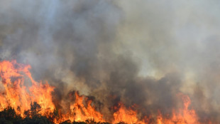 Incendie dans l'Hérault fixé, nouveaux feux en Ardèche dans une France toujours à sec