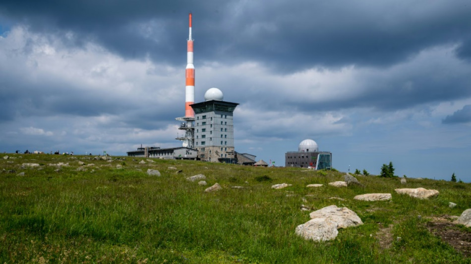 Insgesamt 16 Waldbrände im Harz im vergangenen Jahr