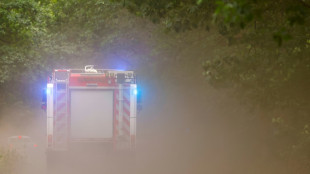 Großbrand in Bereich von brandenburgischem Falkenberg noch nicht unter Kontrolle