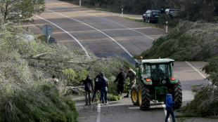 Agricultores espanhóis bloqueiam estradas perto da fronteira com a França