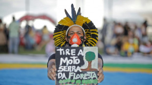 Indigenous lands block Brazil deforestation: study