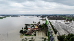 Sace, per le polizze catastrofali bacino di 3 milioni d'imprese