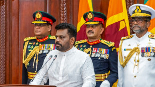 Sri Lanka's new leader appoints cabinet ahead of expected snap polls