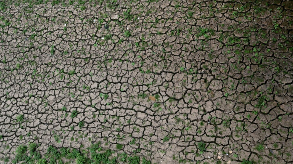 Chef des Umweltbundesamts fordert parteiübergreifenden Appell für Klimaschutz