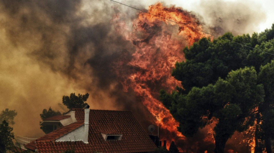 Deadliest wildfires in the Mediterranean