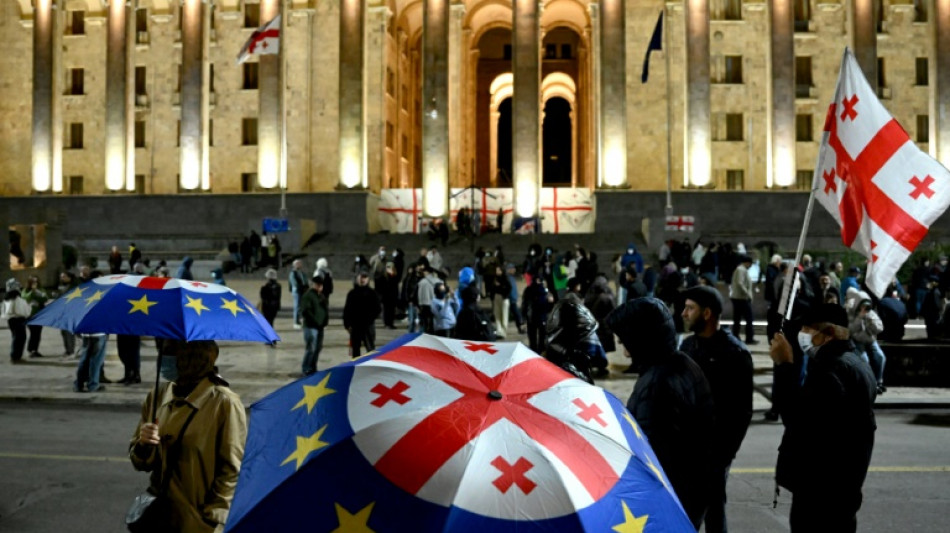 Georgia cracks down on pro-EU protests with crippling fines