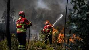 Canicule: incendies au Portugal, l'Espagne en alerte