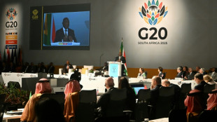 Erosion of multilateralism threatens global stability: S.Africa leader