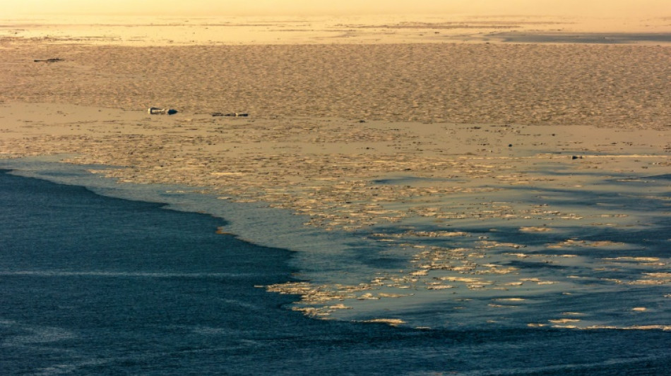 El Océano Ártico podría quedarse sin hielo en la próxima década