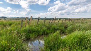 Dans le Cantal, un projet de carrière sur une zone humide suscite des remous