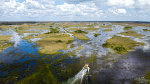 L'administration Biden vole au secours du marécage des Everglades
