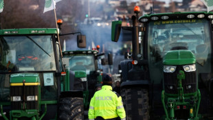 Principais sindicatos agrícolas pedem suspensão dos bloqueios na França