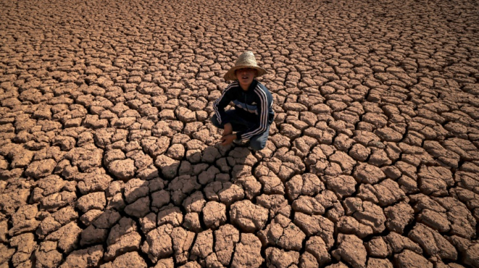 Maroc: face au manque d'eau, des villageois entre larmes et fatalisme