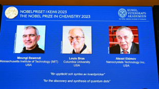 Los ganadores del Premio Nobel de Química de la última década