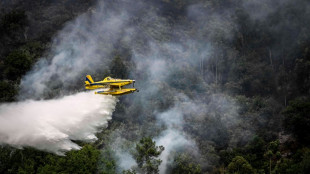 Europa occidental lucha contra incendios y se alista para temperaturas récord