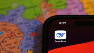 Australia bans DeepSeek AI program on govt devices