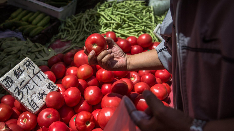 Inchiesta Bbc, pomodori 'italiani' in Gb vengono da Xinjiang