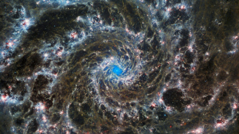 Une somptueuse galaxie spirale dans l'oeil du télescope James Webb