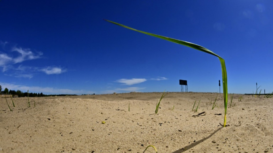 PIK-Studie: Klimawandel könnte auch die Inflation erhöhen