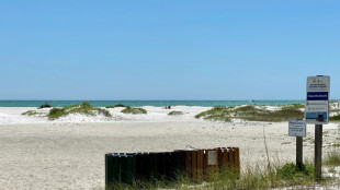 Marea roja, un quebradero de cabeza recurrente en la costa oeste de Florida