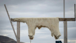 Diet puts Greenland Inuit at risk from 'forever chemicals': study