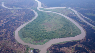 Incendi e siccità, 'il Brasile potrebbe perdere il Pantanal'