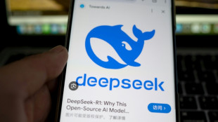 South Korea, Ireland watchdogs to question DeepSeek on user data