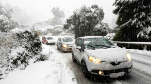 Einsatzkräfte retten wegen Schneechaos festsitzende Menschen auf Mallorca 